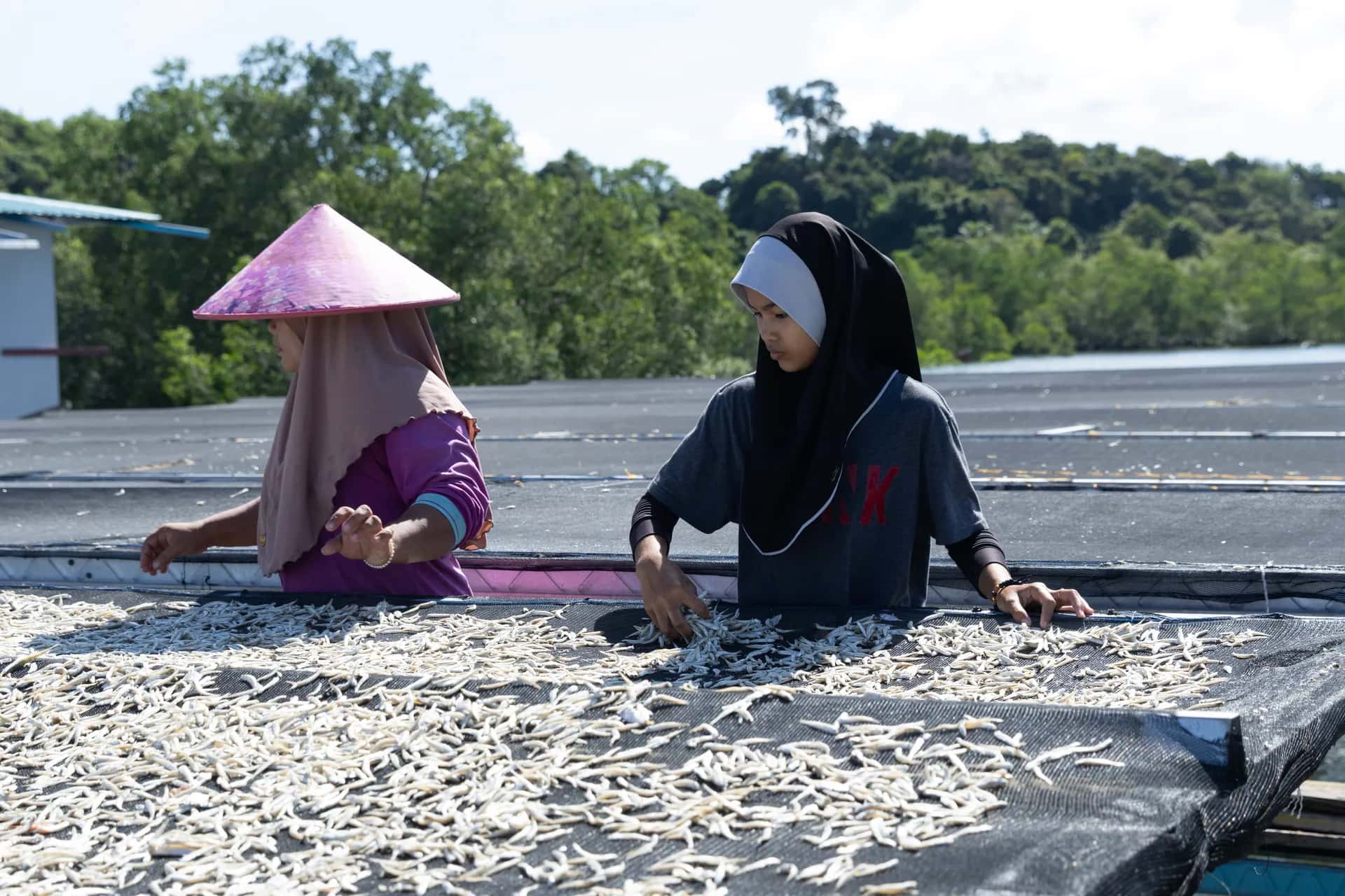Fishermen of Kg Bebuloh